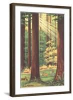 Redwoods Scene with People and Deer-null-Framed Art Print