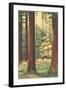 Redwoods Scene with People and Deer-null-Framed Art Print