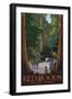 Redwoods State Park - Boardwalk-Lantern Press-Framed Art Print