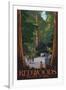 Redwoods State Park - Boardwalk-Lantern Press-Framed Art Print