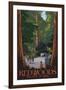 Redwoods State Park - Boardwalk-Lantern Press-Framed Art Print