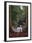 Redwoods State Park - Boardwalk-Lantern Press-Framed Art Print