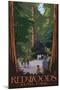 Redwoods State Park - Boardwalk-Lantern Press-Mounted Art Print