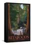 Redwoods State Park - Boardwalk-Lantern Press-Framed Stretched Canvas