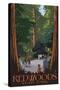 Redwoods State Park - Boardwalk-Lantern Press-Stretched Canvas