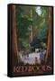 Redwoods State Park - Boardwalk-Lantern Press-Framed Stretched Canvas