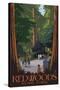 Redwoods State Park - Boardwalk-Lantern Press-Stretched Canvas