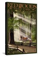 Redwoods State Park - Deer and Fawns-Lantern Press-Stretched Canvas