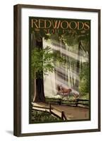 Redwoods State Park - Deer and Fawns-Lantern Press-Framed Art Print