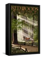 Redwoods State Park - Deer and Fawns-Lantern Press-Framed Stretched Canvas