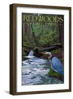 Redwoods State Park - Heron and Waterfall-Lantern Press-Framed Art Print