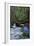 Redwoods State Park - Heron and Waterfall-Lantern Press-Framed Art Print