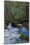 Redwoods State Park - Heron and Waterfall-Lantern Press-Mounted Art Print