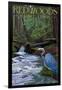 Redwoods State Park - Heron and Waterfall-Lantern Press-Framed Art Print