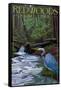 Redwoods State Park - Heron and Waterfall-Lantern Press-Framed Stretched Canvas