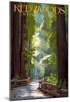 Redwoods State Park - Pathway in Trees-null-Mounted Poster