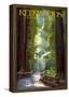 Redwoods State Park - Pathway in Trees-null-Framed Poster