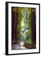 Redwoods State Park - Pathway in Trees-Lantern Press-Framed Art Print