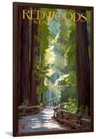 Redwoods State Park - Pathway in Trees-Lantern Press-Framed Art Print