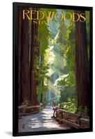 Redwoods State Park - Pathway in Trees-Lantern Press-Framed Art Print