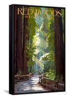 Redwoods State Park - Pathway in Trees-Lantern Press-Framed Stretched Canvas