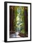 Redwoods State Park - Pathway in Trees-Lantern Press-Framed Premium Giclee Print