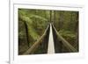 Redwoods Treewalk at The Redwoods (Whakarewarewa Forest), Rotorua, North Island, New Zealand-David Wall-Framed Photographic Print