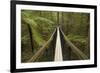 Redwoods Treewalk at The Redwoods (Whakarewarewa Forest), Rotorua, North Island, New Zealand-David Wall-Framed Photographic Print