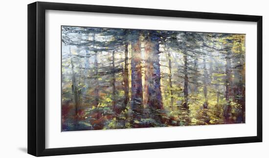 Redwoods-Amanda Houston-Framed Giclee Print