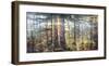 Redwoods-Amanda Houston-Framed Giclee Print