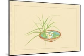 Reed and Pond Lily-Sofu Teshigahara-Mounted Art Print