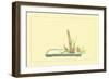 Reed and Pond Lily-Sofu Teshigahara-Framed Art Print