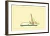 Reed and Pond Lily-Sofu Teshigahara-Framed Art Print