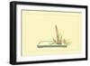 Reed and Pond Lily-Sofu Teshigahara-Framed Premium Giclee Print