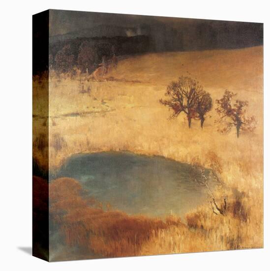Reed Bed Pond-Eugen Bracht-Stretched Canvas
