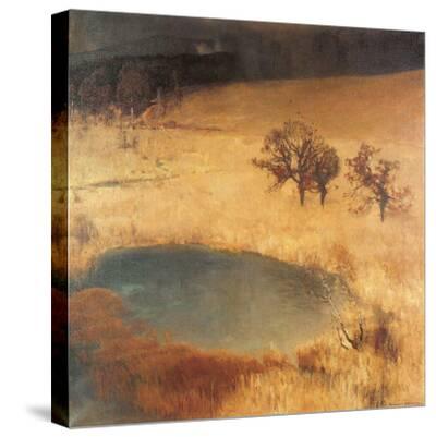 'Reed Bed Pond' Stretched Canvas Print Eugen Bracht