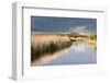 Reed Beds and View Towards Glastonbury Tor from Rspb Reserve, Somerset Levels, Somerset, UK-Ross Hoddinott-Framed Photographic Print