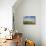 Reed Beds at Joist Fen, Lakenheath Fen Rspb Reserve, Suffolk, UK, May 2011-Terry Whittaker-Photographic Print displayed on a wall