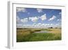 Reed Beds at Joist Fen, Lakenheath Fen Rspb Reserve, Suffolk, UK, May 2011-Terry Whittaker-Framed Photographic Print