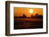 Reed Beds on Joist Fen at Sunset, Lakenheath Fen Rspb Reserve, Suffolk, UK, April 2011-Terry Whittaker-Framed Photographic Print