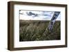 Reed Belt at the Federsee Near Bad Buchau, Baden-WŸrttemberg, Germany-Markus Leser-Framed Photographic Print