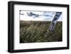 Reed Belt at the Federsee Near Bad Buchau, Baden-WŸrttemberg, Germany-Markus Leser-Framed Photographic Print