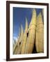 Reed Boats, Cabillitos de Totora, Huanchaco, Peru-Pete Oxford-Framed Photographic Print