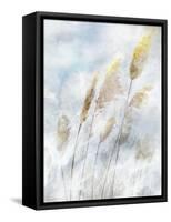 Reed Field II-Ken Roko-Framed Stretched Canvas