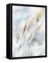 Reed Field II-Ken Roko-Framed Stretched Canvas