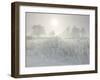 Reed in the Fog at the Kochelsee, Tolzer Country, Bavaria, Germany-Rainer Mirau-Framed Photographic Print