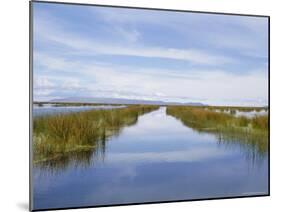 Reed Islands, Lake Titicaca, Peru-Charles Bowman-Mounted Photographic Print