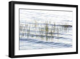 Reed Meander-Mike Toy-Framed Giclee Print