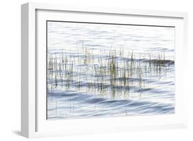 Reed Meander-Mike Toy-Framed Giclee Print