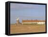 Reedbeds and Cley Windmill, Norfolk, England-Pearl Bucknell-Framed Stretched Canvas